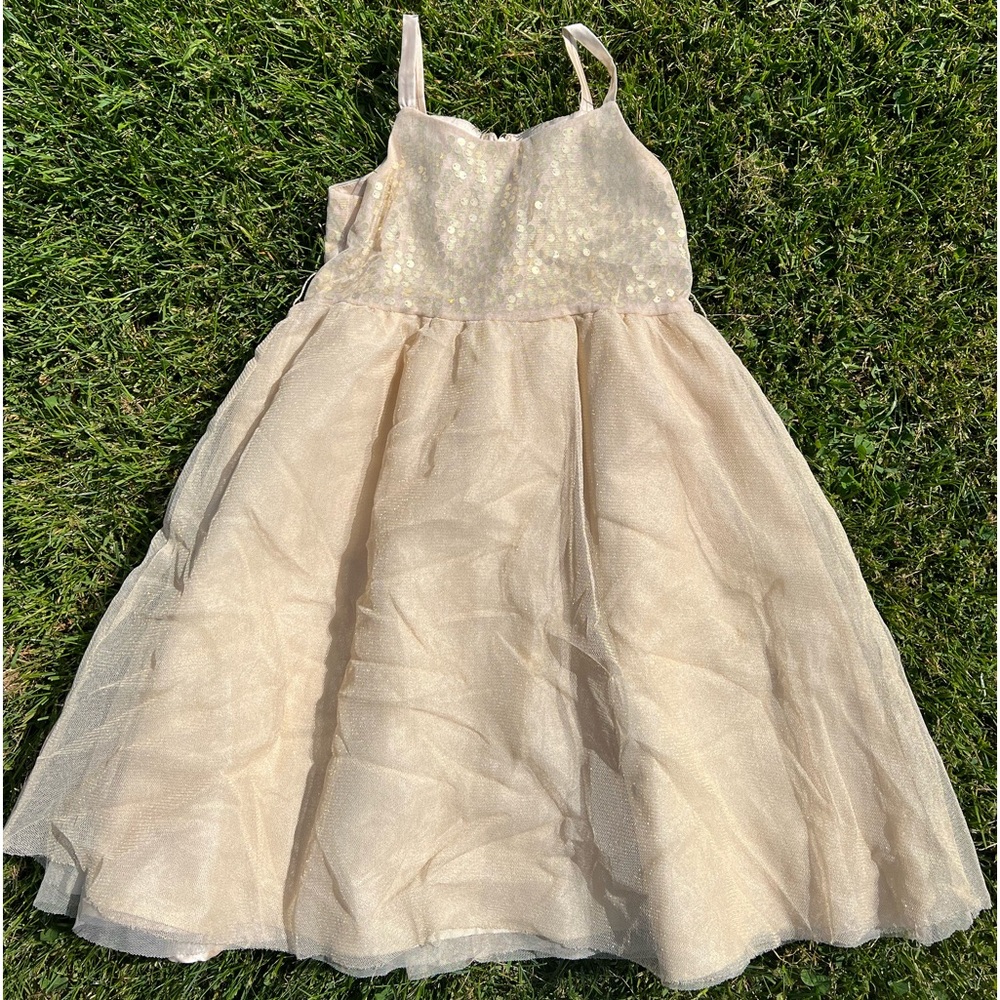 Gold sparkly dress